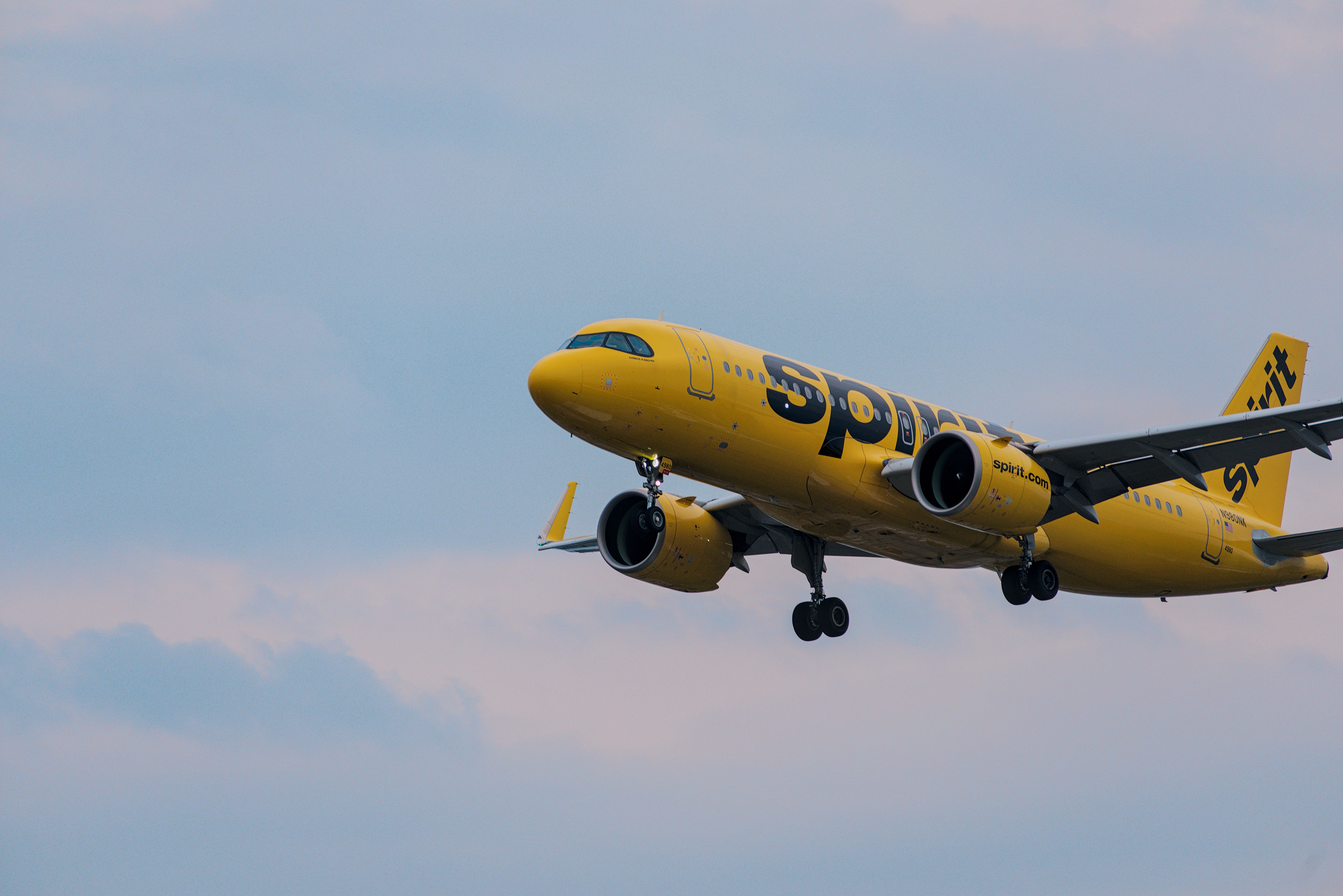 Spirit Airlines Grounded: CEO Laments 'Ran Out of Runway'